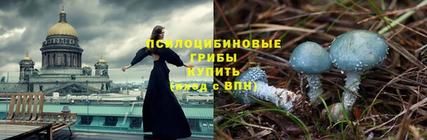 гидра Осташков