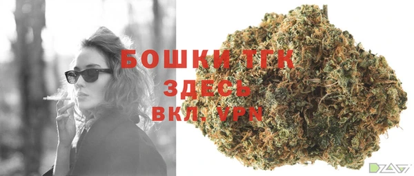 ГАЛЛЮЦИНОГЕННЫЕ ГРИБЫ Горнозаводск