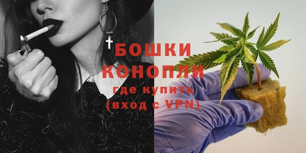 ГАЛЛЮЦИНОГЕННЫЕ ГРИБЫ Горнозаводск